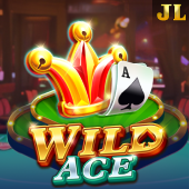 Wild Ace playtime gaming slot